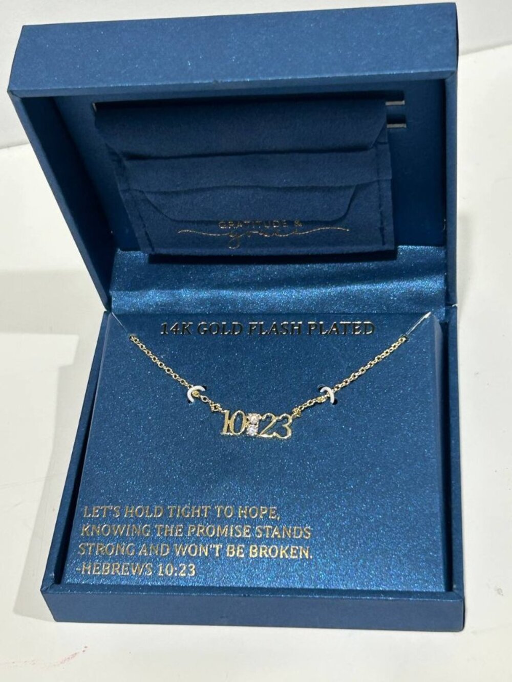 Gratitude & Grace “10:23” Scripture Necklace NWT, 14K Gold Flash Plated